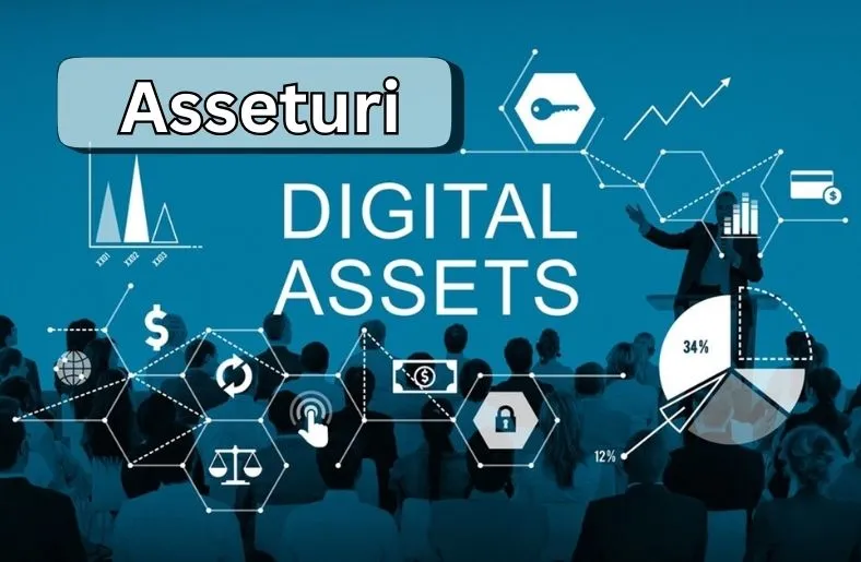 Asseturi | Maximize Your Digital Wealth