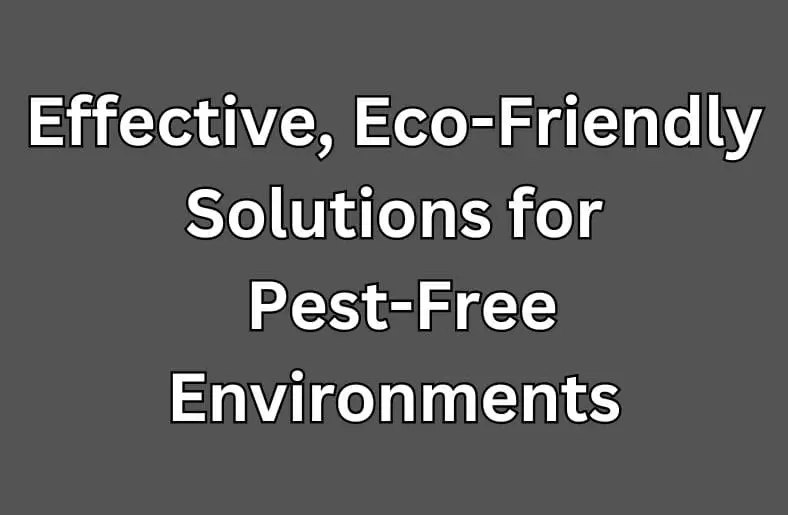 Proterra Pest Control | Effective, Eco-Friendly Solutions for Pest-Free Environments