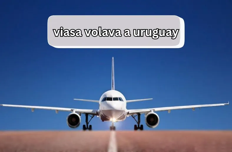 Viasa Volava a Uruguay Revealed | Air Travel Delights