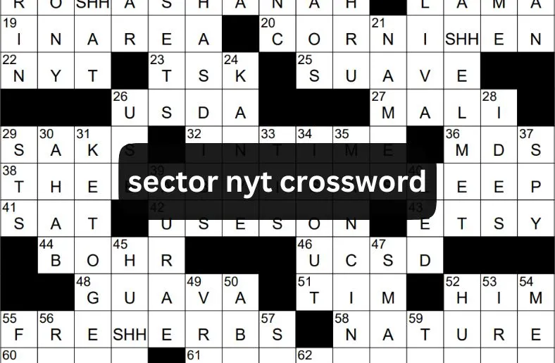 Sector NYT Crossword | Expert Tips