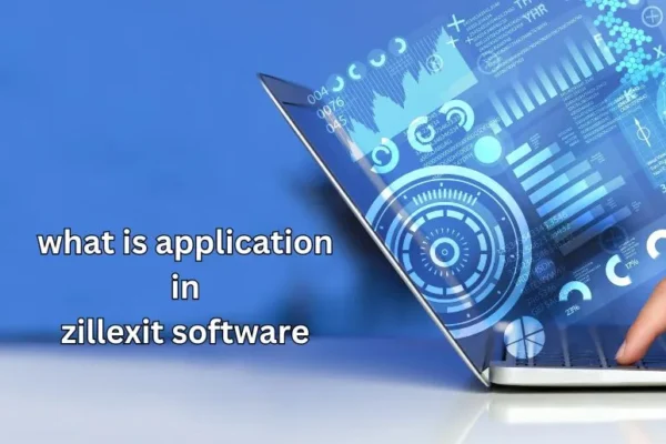 What is Application in Zillexit Software | Explained