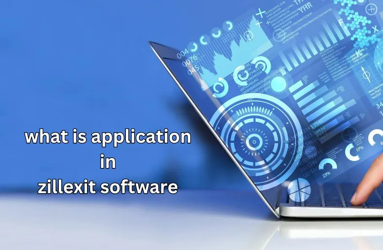 What is Application in Zillexit Software | Explained