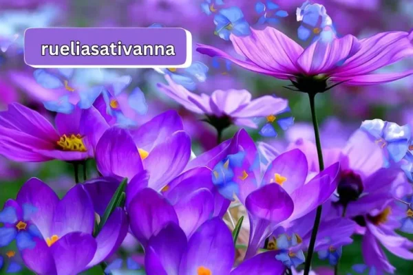 Rueliasativanna Revealed | Unveiling Nature’s Beauty