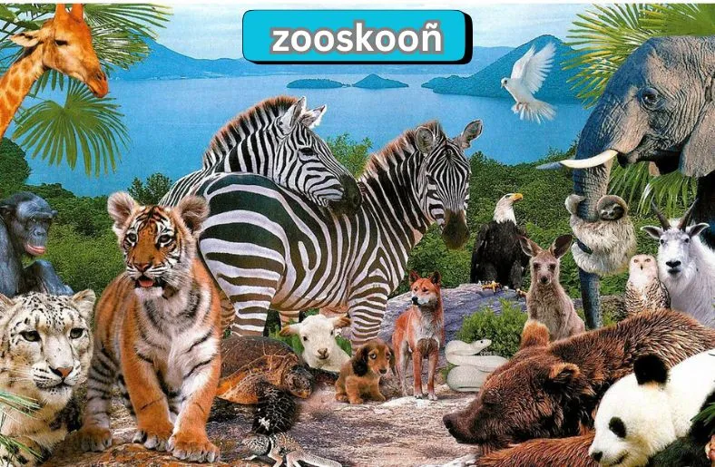Zooskooñ | A Journey into Nature's Heart