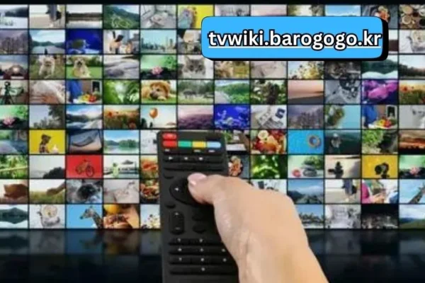 tvwiki.barogogo.kr | Explore the Best in TV Entertainment