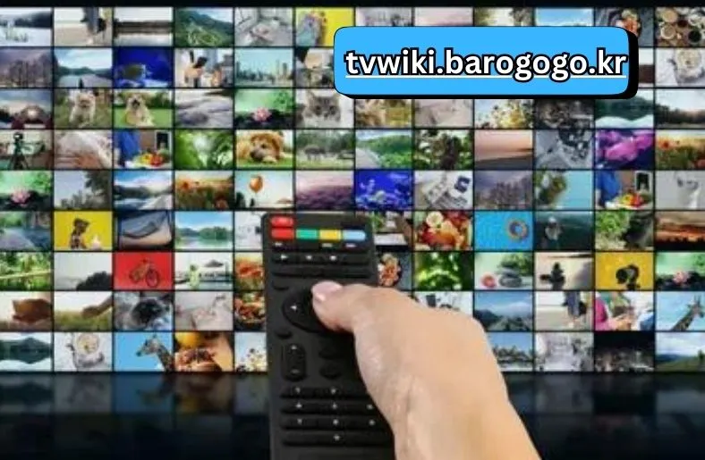 tvwiki.barogogo.kr | Explore the Best in TV Entertainment