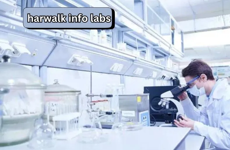 Harwalk Info Labs | Innovating Your Digital Future